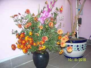 Мини-отель Mini-Hotel on Solomianka Киев Двухместный номер с 1 кроватью и общей ванной комнатой-12